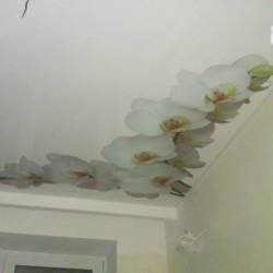 Матовый потолок с фотопечатью на кухне