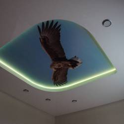 Двухуровневый потолок с фотопечатью и подсветкой